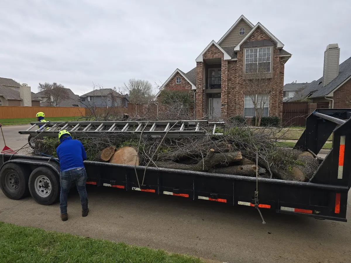 Expert Lot Clearing with proper safety equipment in Converse